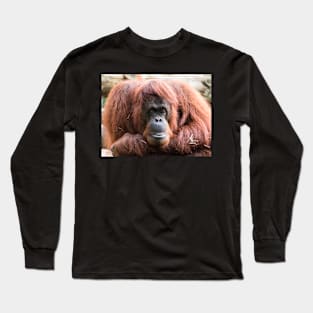 Close-up of an adult orangutan Long Sleeve T-Shirt